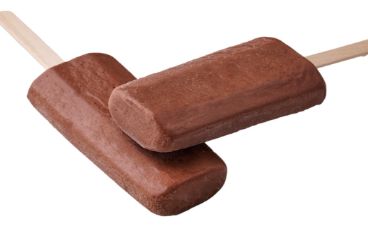 Chocolate Terrine Ice Bar